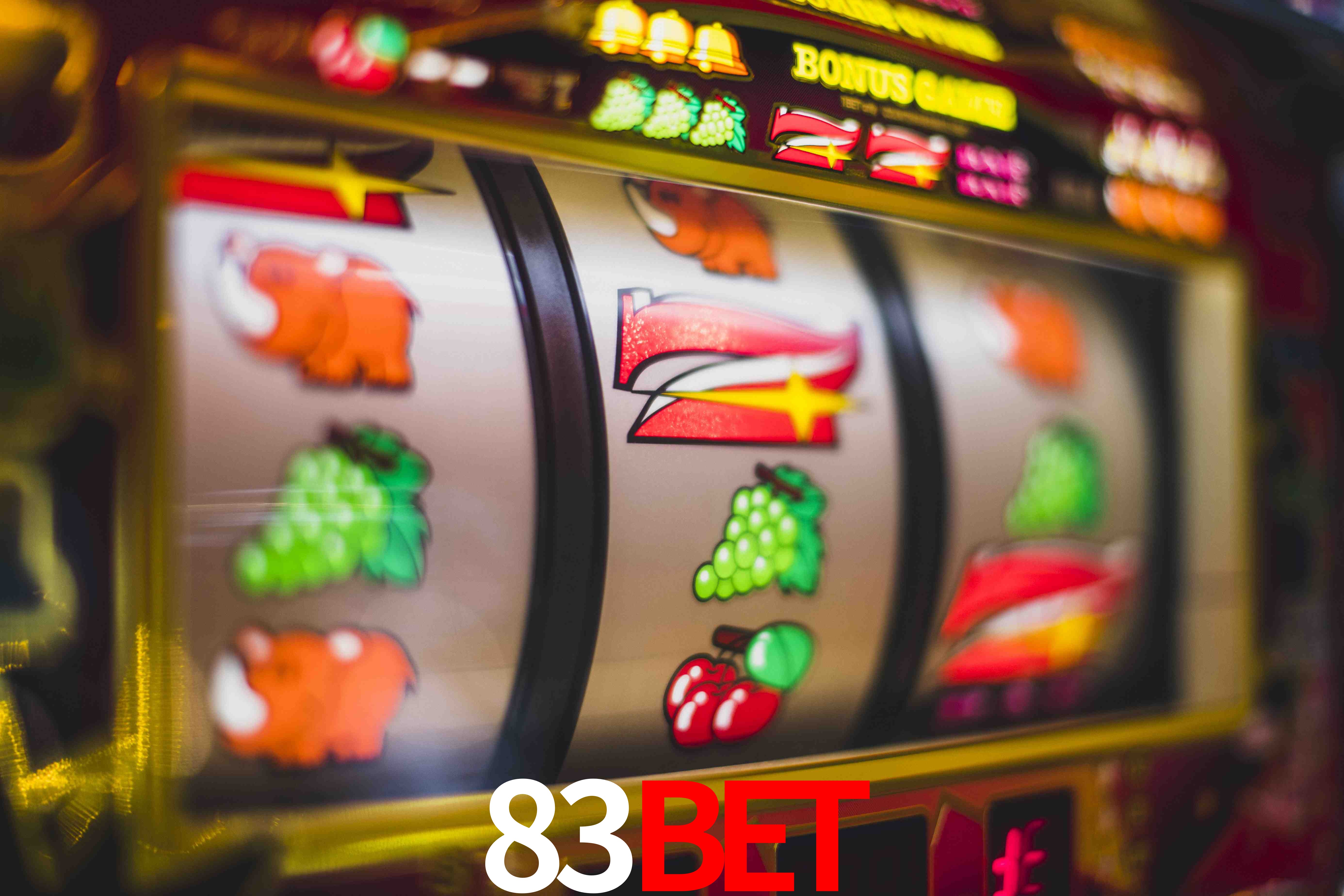 Sports Statistics 83Bet